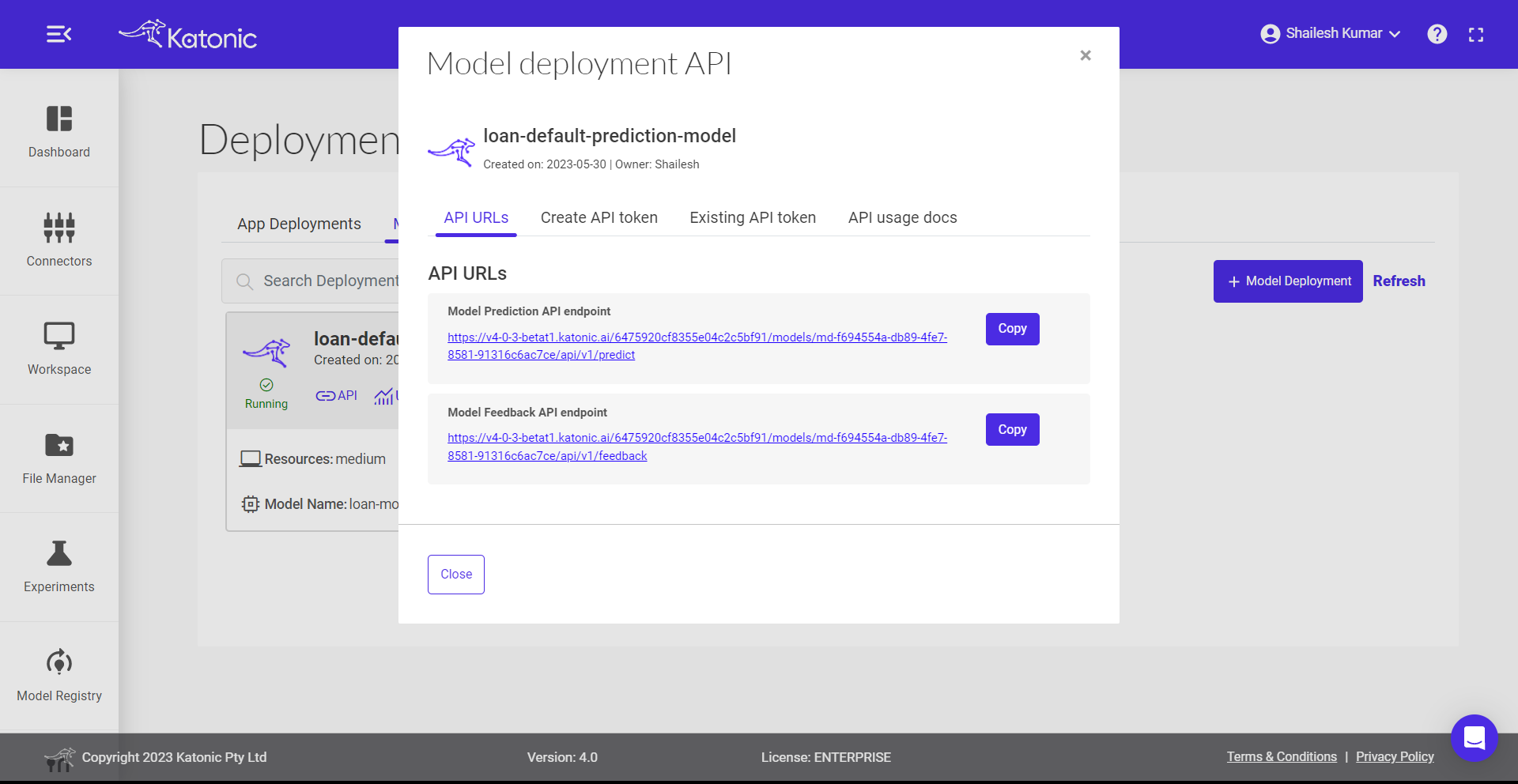 model API